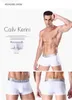 Luckymily Hommes Stretch Coton Multicolore Boxer Sous-Vêtements Respirant Lingerie Hommes Personnalité TangasUnderpants