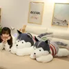 Poupées en peluche géantes douces Kawaii Husky chien jouets mignons animaux en peluche long sommeil oreiller poupée pour enfants petite amie cadeau d'anniversaire décor à la maison 231116