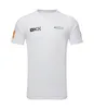 F1 2023 Team T-Shirt Formel 1 Racing Logo Herren Bedrucktes T-Shirt Sommer Autofans O Hals Schnelltrocknendes Jersey T-Shirts Sport Kurzarm