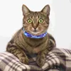 Dog Collars Luminous Pet Collar Adjustable Puppy Litter Glowing Flashing Nylon Cat Supply LED