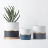 Плантаторы горшки Llight Luxury Ceramic Flowerpot Золотой круг краски сочные сеялки зеленые растения орхидея круглый цветочный горшок с отверстием t