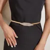 Gürtel Metall Elastischer Gürtel für Frauen Designer Strass Taillengurt Lässiges weibliches Kleid Rock Mantel Dekorativer Gürtel