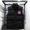 Men's Down Parkas Hommes Down Parkas En Gros Style Canadien Hommes Designer Gooses Gilet Veste Manteau Femmes Haute Qualité Hiver Chaud Gilets