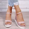 Dress Shoes Women's Chunky Wedge Peep Toe Sandals 2023 Summer Fashion Buckle Roman Style Platform Gladiator Silver Rubber Soft Sole