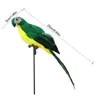 Garden Decorations 25cm Foam Feather Artificial Parrot Imitation Bird Model Figurine Birds Home Decoration Ornament