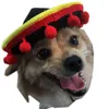 Dog Apparel Sales Pet Supplies Hats