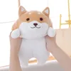 Pluche Poppen 1 st Mooie Vet Shiba Inu Corgi Hond Speelgoed Gevuld Zacht Kawaii Dier Cartoon Kussen Cadeau voor Kids Baby kinderen 231116