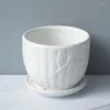 Vasos Home Cerâmica Flor Potenciômetro Branco Porcelana Suculenta Planta Vaso Personalidade Simples Puro Listrado Bacia Jardim