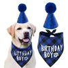 Одежда для собак, набор украшений для дня рождения, треугольный шарф для домашних животных, милая шляпа с галстуком-бабочкой, аксессуары для воротника, 231116