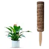 Garden Supplies Inne 4 -pakowy mche z tyurem kokosowym do wsparcia roślin przedłużanie roślin wewnętrznych Prefants 50 cm