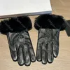 Luxe dames lederen handschoenen Designer winter warme handschoenen Zacht verdikte stijl Dameshandschoenen Kerstcadeau voor vriendin met doos