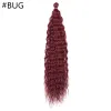 Synthetic Hair Extensions Kinky Braids Crochet Curl False Hairs For Woman Natural High Temperature Fiber Hair 12 LL