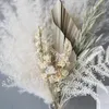 Dekorativa blommor naturliga fluffiga pampas gräs boho dekor blomma bukett torkad för bröllop ceremoni hem trädgård