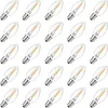 Bulbs Warm White E12 Base Replacement Clear Plastic For Indoor Outdoor Wedding Light String