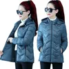 Os casacos de trincheira feminina não lavam a jaqueta de inverno de meia-idade de meia-idade, com algodão leve, 2023, descendo a roupa acolchoada