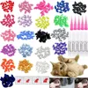 Autres fournitures de chat Caps d'ongles Pet Soft Paws Protector Couverture avec applicateur de colle adhésive gratuite 20pcs / lot pour chaton 231116