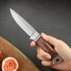 1PC Multi -Purpose Kitchen Knife - Perfekt för att klippa frukt, kött och utomhus BBQ!