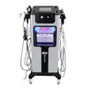 Usine 10 en 1 Hydro Dermabrasion Peel Aqua Machine faciale Hydro Microdermabrasion Peau du visage Dispositif propre SPA Dark Style Hammer Face