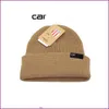 Thick Knitted Beanie Women Men Designer Solid Outdoor Women's Hat Luxury Lady Male Stretch Knitted Crochet Cap