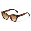 Solglasögon kattögon kvinnor vintage rektangel design solglasögon kvinnlig man retro oregelbunden gradient brun cateye oculos