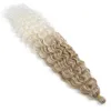 Synthetic Hair Extensions Kinky Braids Crochet Curl False Hairs For Woman Natural High Temperature Fiber Hair 12 LL