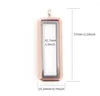 Pendant Necklaces 1PCS/lot Plain Rectangle Floating Locket With Necklace Chains Glass Memory Living Charms For Women Gift Jewelry