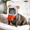 Abbigliamento per cani Costume da orso Cani Gatti Cappello decorativo per animali domestici Abbigliamento di moda Copricapo adorabile Animali domestici per accessori