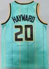 Stitched City Basketball LaMelo Ball Jerseys 1 Terry Rozier III 3 Gordon Hayward 20 Brandon Miller 24 Men Team For Sport Fans Earned Purple Green White Black Shirt Top