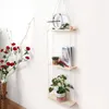 Декоративные фигурки северная минималистская стена однослойная рама планки с деревянным кольцом цветочный горшок с малым объектом Коллекция