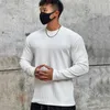 Hommes t-shirts 2023 hommes Fitness mode tendance respirant Anti-rides serpent tissu décontracté sport mince à manches longues pull
