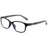 Sunglasses Color Presbyopic Glasses Anti Blue Light Presbyopia 1.0 1.5 2.0 2.5 Lightweight Screwless Reading Wholesale