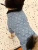 Abbigliamento per cani all'ingrosso Primavera / Estate T-shirt sottile Marchio di moda Manica corta Piccolo cane Teddy Schnauzer Corgi Pet Vestito genitore-figlio