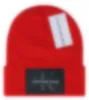 Fashion Designer Hats Brand American CK Beanies Men's and Women's Beanie Fall/winter Thermal Knit Hat Ski Brand Bonnet Plaid Skull Hat Warm Cap A9