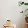 ディナーウェアセット10個の竹のミニフラワーバスケット手織りのフェイクインドア植物手作りのフルーツホルダー木製オフィス素朴な家の装飾