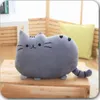 Plush Dolls Cute Cookie Cat Pillow Soft Office Nap Pad Toy Fill Pause Bed Sleep Home Decoration Gift Doll Children 231115