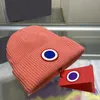 Projektant mody czapki czapki czapki projektant gęsią litera zima luksusowe kasety kasquette dla mężczyzn kobiety ciepłe wełniane kapelusz kanada narciarstwo 10 kolorów fabrycznie