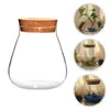 Bouteilles Pot en verre de liège Pot de fleurs Vase floral transparent avec conteneurs de stockage Couvercles Terrarium