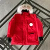 Winter Men Down Jackets Designer Homme Puffer Outdoor Windbreaker Outerwear Hooded Down Gooses Jacket Coat B72U#