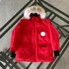 Зимние мужские пуховики Дизайнерские Homme Puffer Открытый ветровка с капюшоном Пуховые гуси Верхняя одежда Куртка Пальто