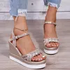 Dress Shoes Women's Chunky Wedge Peep Toe Sandals 2023 Summer Fashion Buckle Roman Style Platform Gladiator Silver Rubber Soft Sole