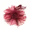 Headpieces Banquet Feather Hair Pins Headdress Wedding Party Bridal Tiara Women Fascinators Clip Ladies Accessory Homburg