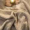 Set di biancheria da letto Set di pile berbero Velluto di latte invernale Copripiumino addensato in quattro pezzi Biancheria da letto Federa Queen King Bedroom Decor 231116