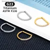 Stud G23 Titanium Round Hoop D Shape Nose Ring Daith Heart Earring 16G CZ Hinged Segment Ear Tragus Cartilage Helix Piercing JewelryL231117