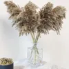 Decorative Flowers Boho Home Style Fluffy Pampas Grass Shor Brown White Natural Dry Pompas Wedding Arrangement Party Decoration