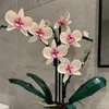 Blocchi Moc Bouquet Blocco orchidea fiore Piante grasse Blocchi in vaso FIT per 10311 Kit romantico Assemblaggio Giocattolo da costruzione regalo per ragazza