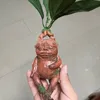 Inny wystrój domu Mandrake Grass Dessiin Statue Ornament Ozdób Art Figurina Rzemiosła 230417