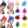 Copricapo Banchetto Piume Perni per capelli Copricapo Festa di nozze Tiara nuziale Fascinatori per donne Clip Accessorio da donna Homburg