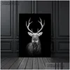 Pinturas Canvas Pintura Animal Wall Art Leão Elefante Veado Zebra Pôsteres e Impressões Fotos para Sala de estar Decoração Home Decor Dhje4