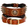 Hundhalsar Leases Dålig läderkrage Cool Spiked Studded Pet Dogs justerbara för medelstora Pitbl K9 L XL Y200515 Drop Deliver DHZFH