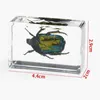 Oggetti decorativi Figurine Resina Esemplare di insetto Decorazione Modello Trasparente Epossidico manuale Scarabeo Scorpione Granchio Scarabeo Ragno Ambra Decor Y23